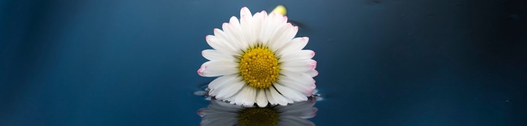 trauerredner_oberepfalz_schwandorf