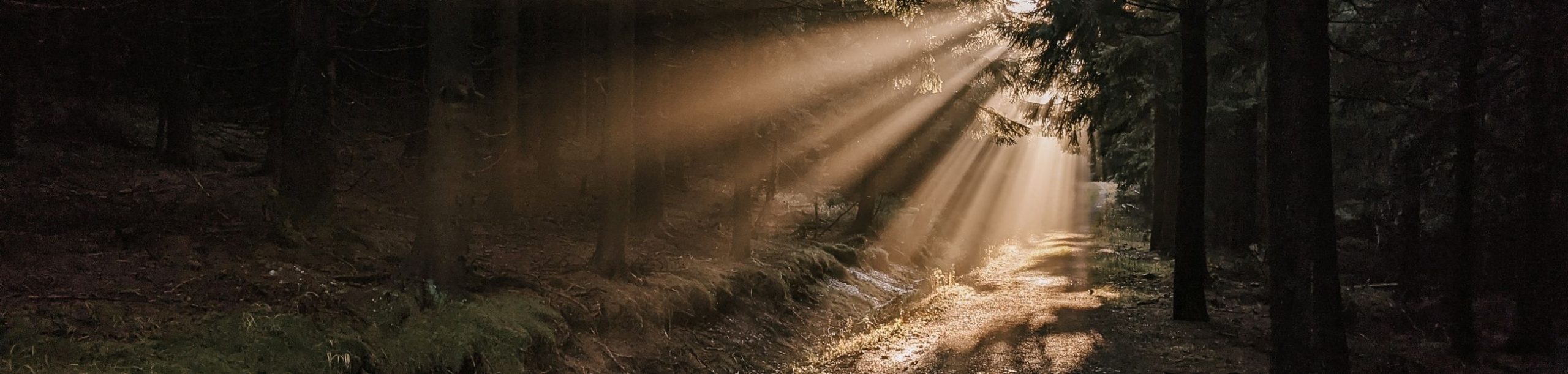 Trauerfeier-Trauerredner-Schwandorf-Amberg